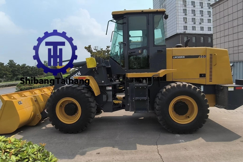 Cargador Usado XCMG LW300KN