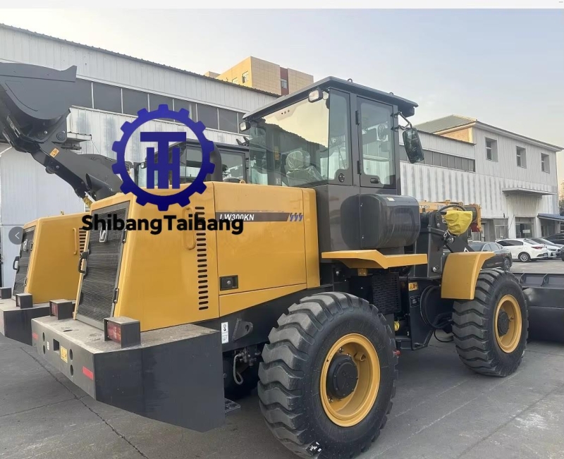 Cargador Usado XCMG LW300KN